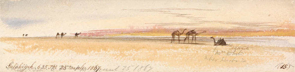 Salahiyeh